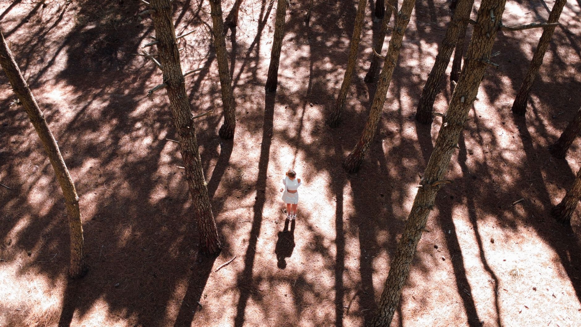 Aerial shot of pine forest with a person standing, captured in Mar de las Pampas, Argentina.