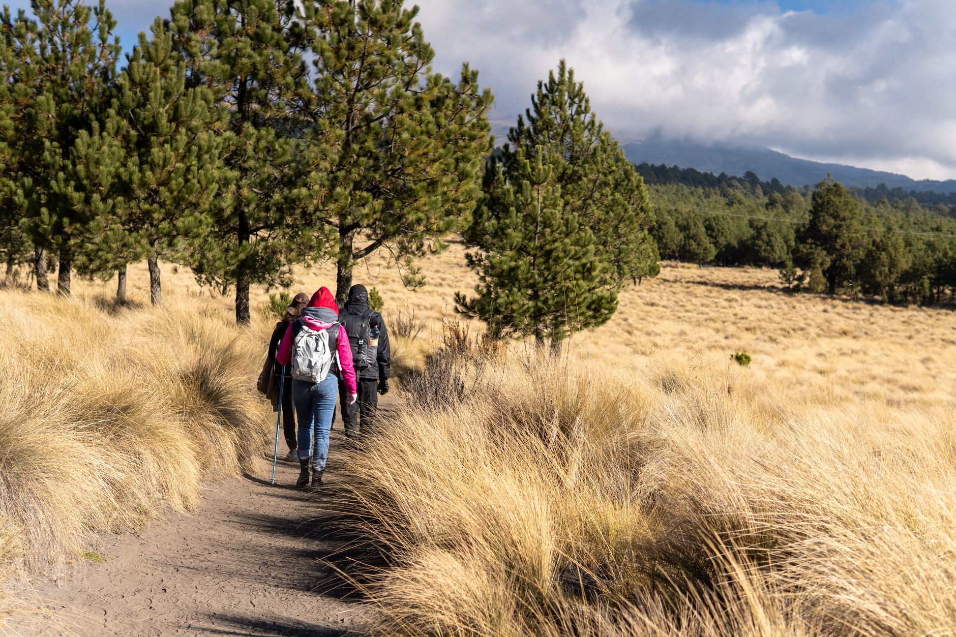 Explore the scenic trails of Paso de Cortés, Puebla, with hikers enjoying a sunny day in the mountains.