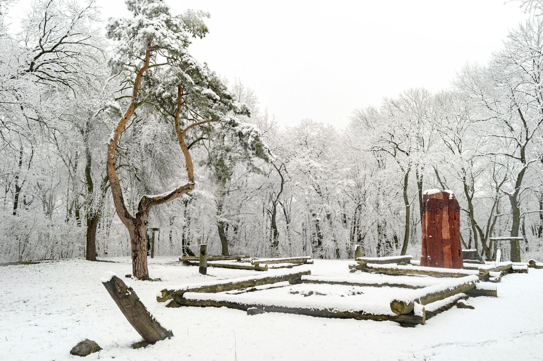 Snow-covered trees and a pagan ritual site in winter, Kyiv, Ukraine.