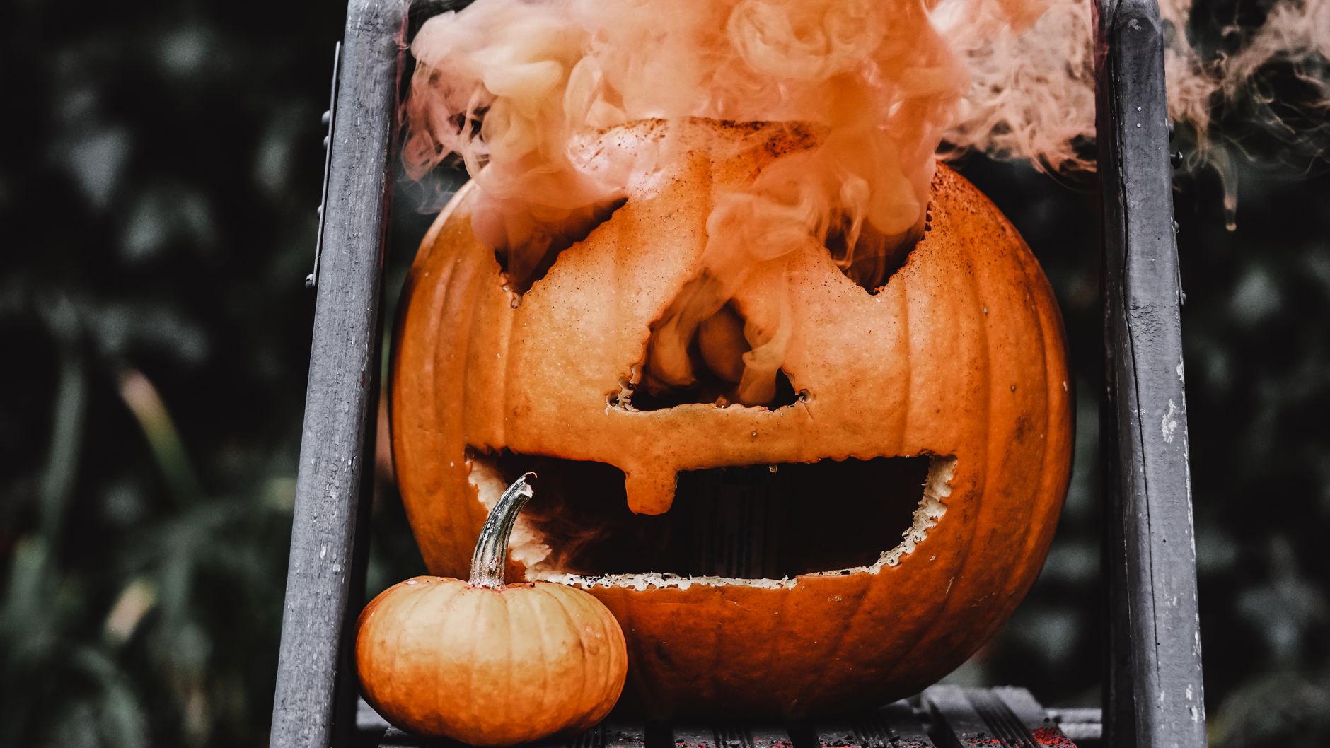 Close-up of a carved pumpkin with smoke emanating for Halloween ambience.